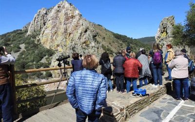 Actividad-Ruta-Bus-4x4-en-Monfragüe